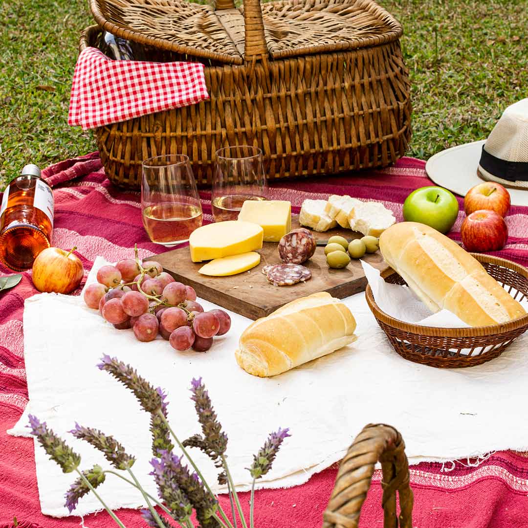 Regenbogenfamilien-Picknick